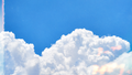 Sky Polo