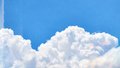 Sky Shorts